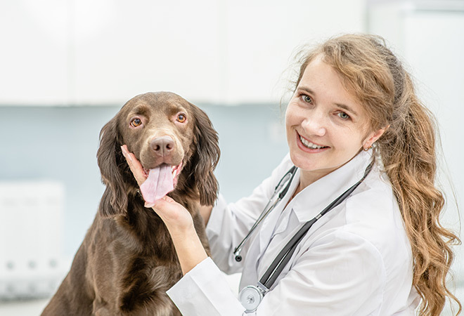 Veterinary Nursing