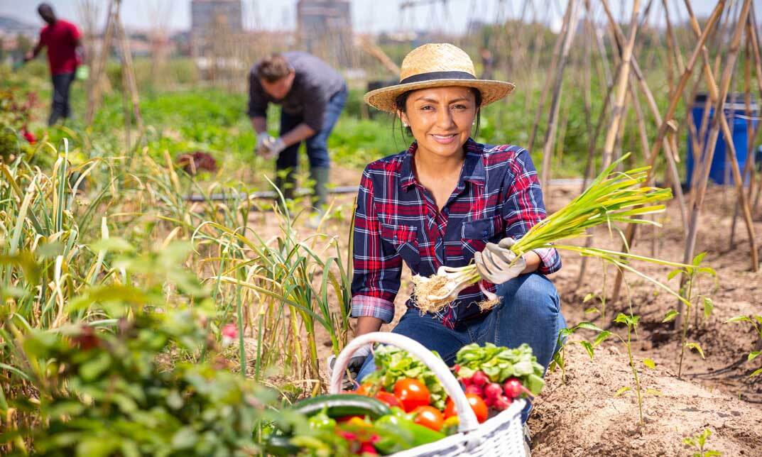 Homesteading Diploma