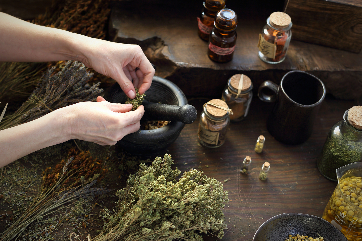 Master Herbalist Diploma Level 3