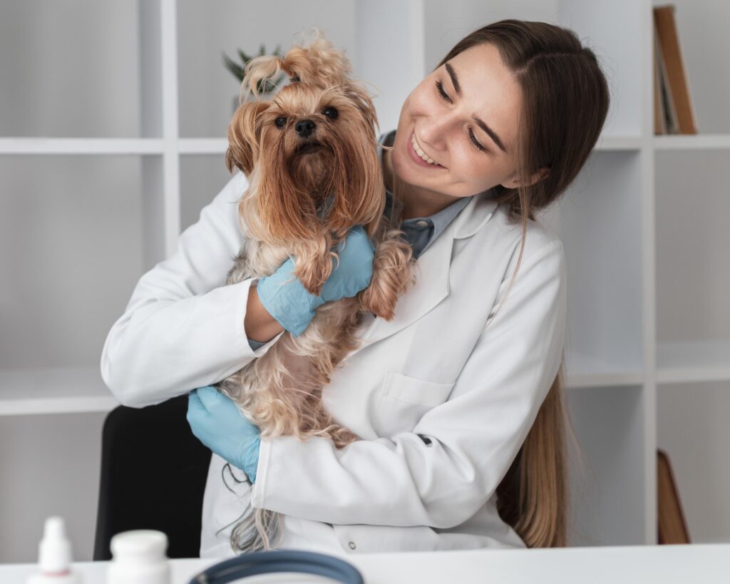 Advanced Diploma In Veterinary Care Assistant - Level 3