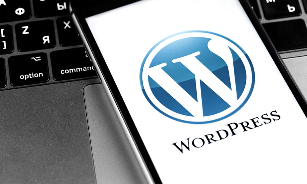 WordPress Developer