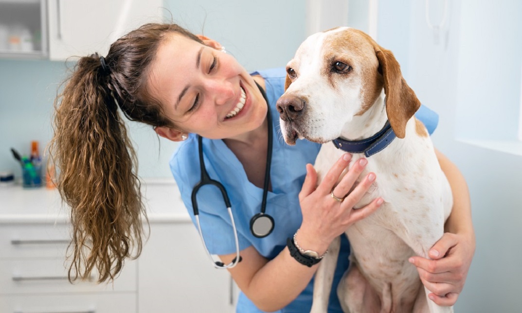 Dog Health Care