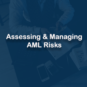 Assessing and Managing AML Risks