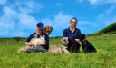 Tarka Dog Training logo