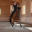 Lucy Middleton Classical Dressage logo