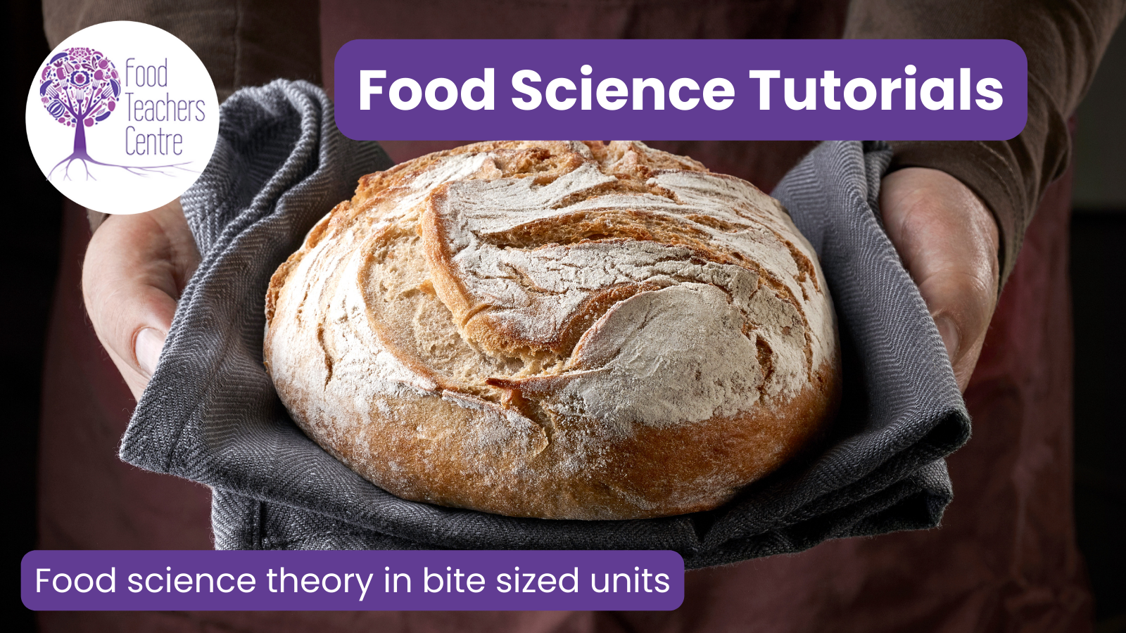 Food Science Tutorials 