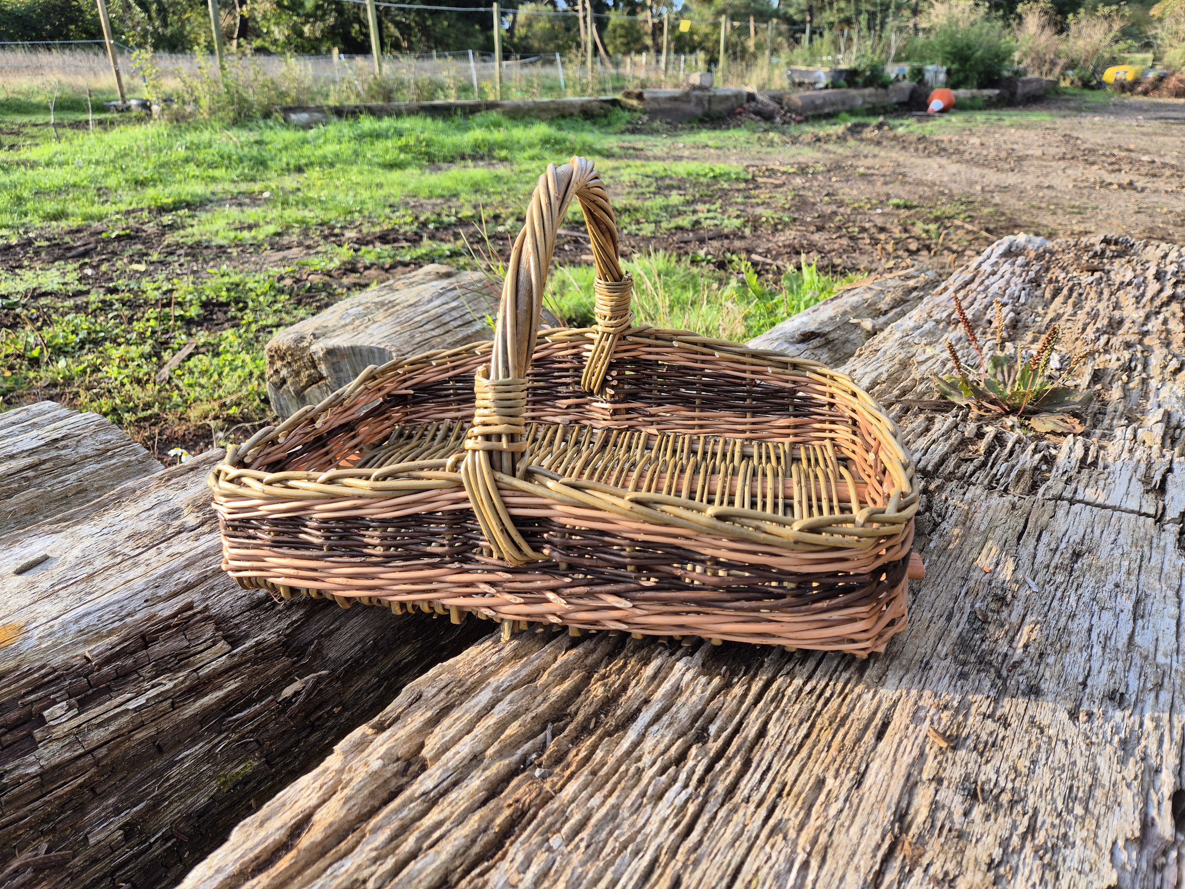 Garden Trug at The Quite Space in Poundbury