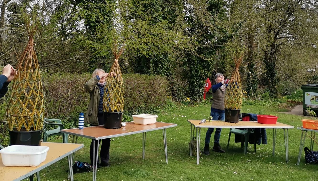 Living Willow Garden Sculpture, at The Quiet Space in Poundbury