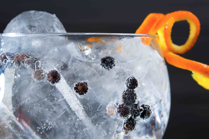 Gin & Tonic & Garnish Pairing Workshop