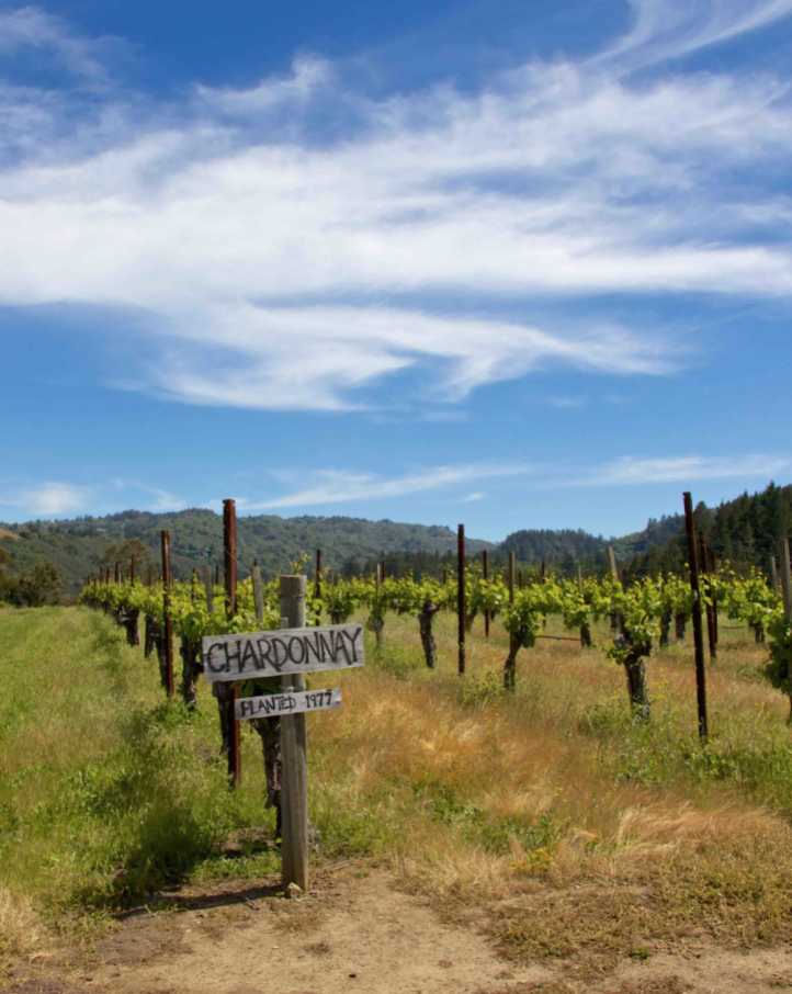 Chardonnay from around the globe