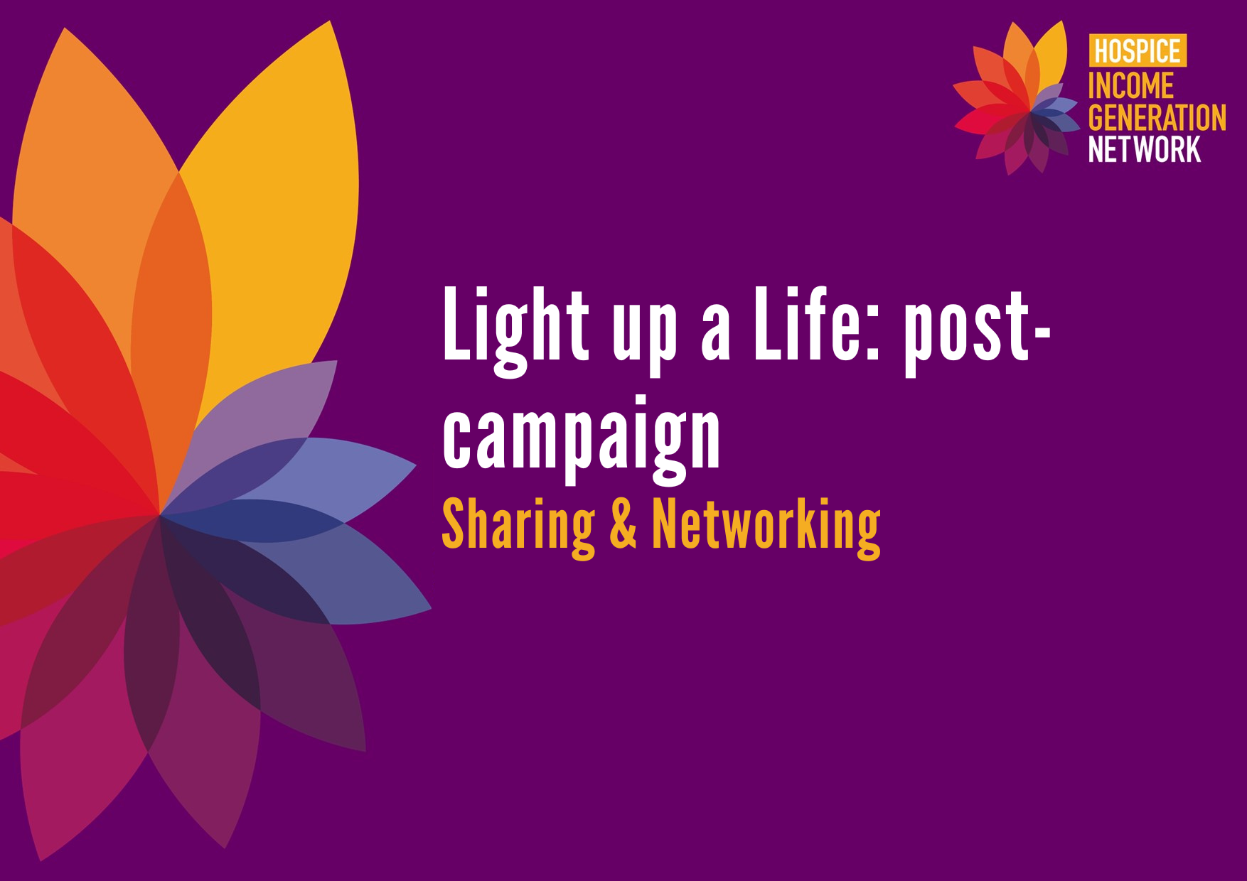 Weds 5 Feb 2025: Light up a life: post-campaign