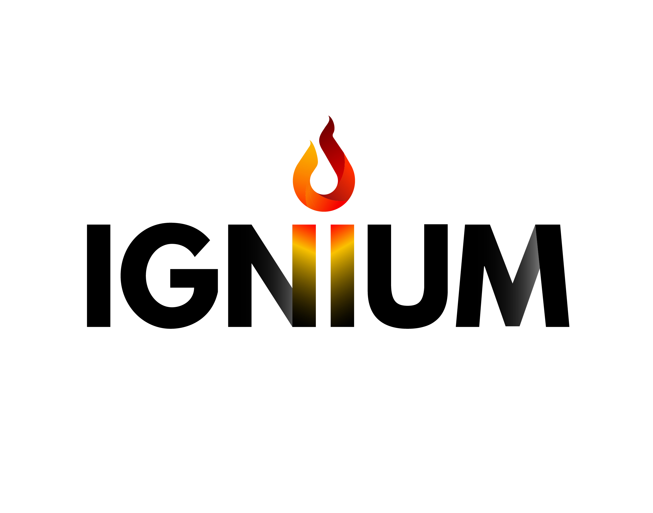 Ignium Consulting Ltd logo