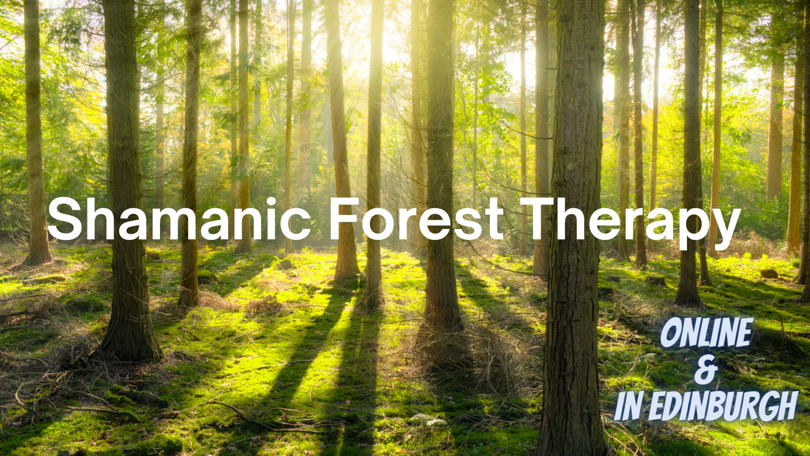 Shamanic Forest Therapy from May-September