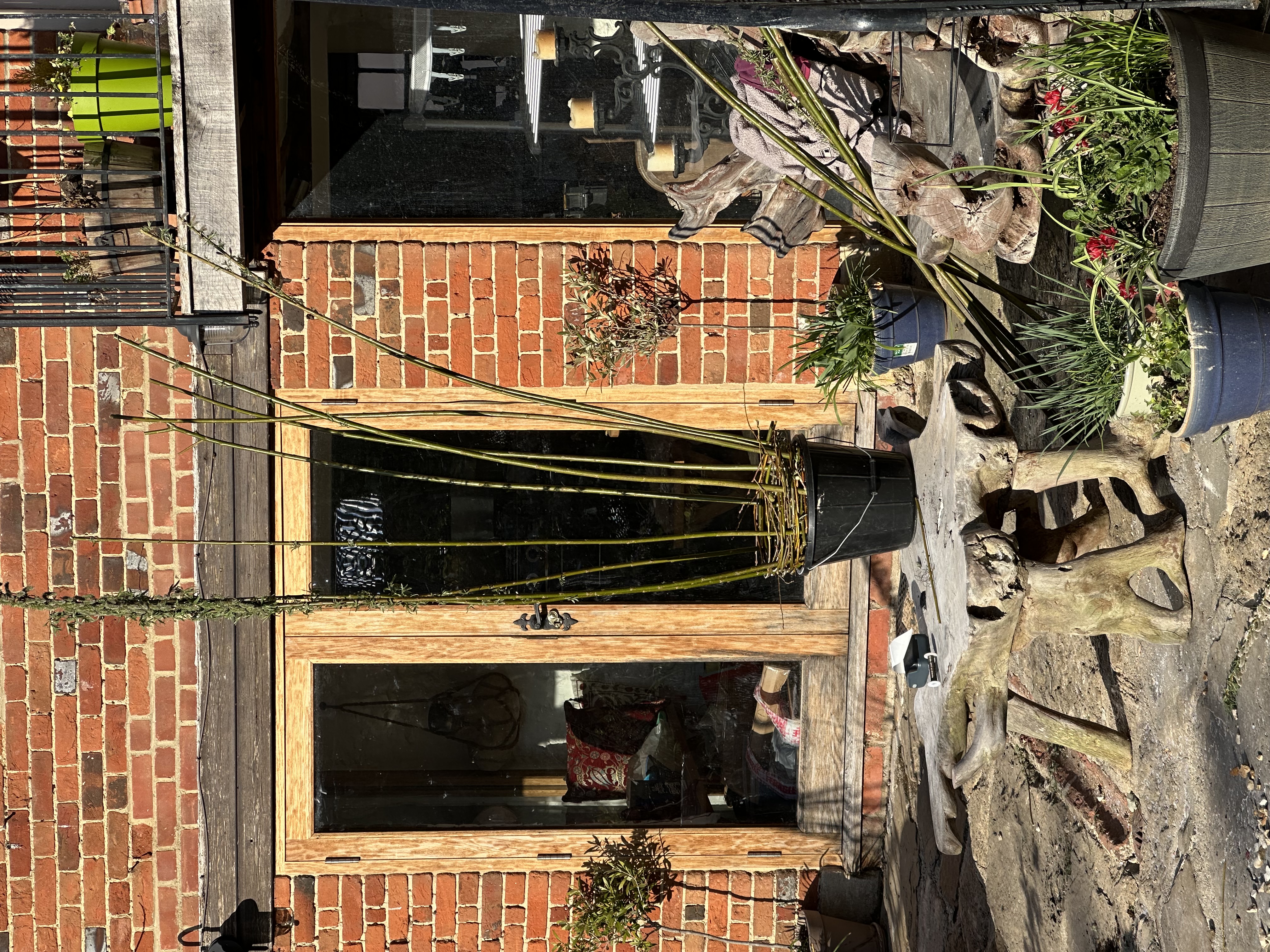 Willow Weaving OBELISK 
Plant Support Workshop 