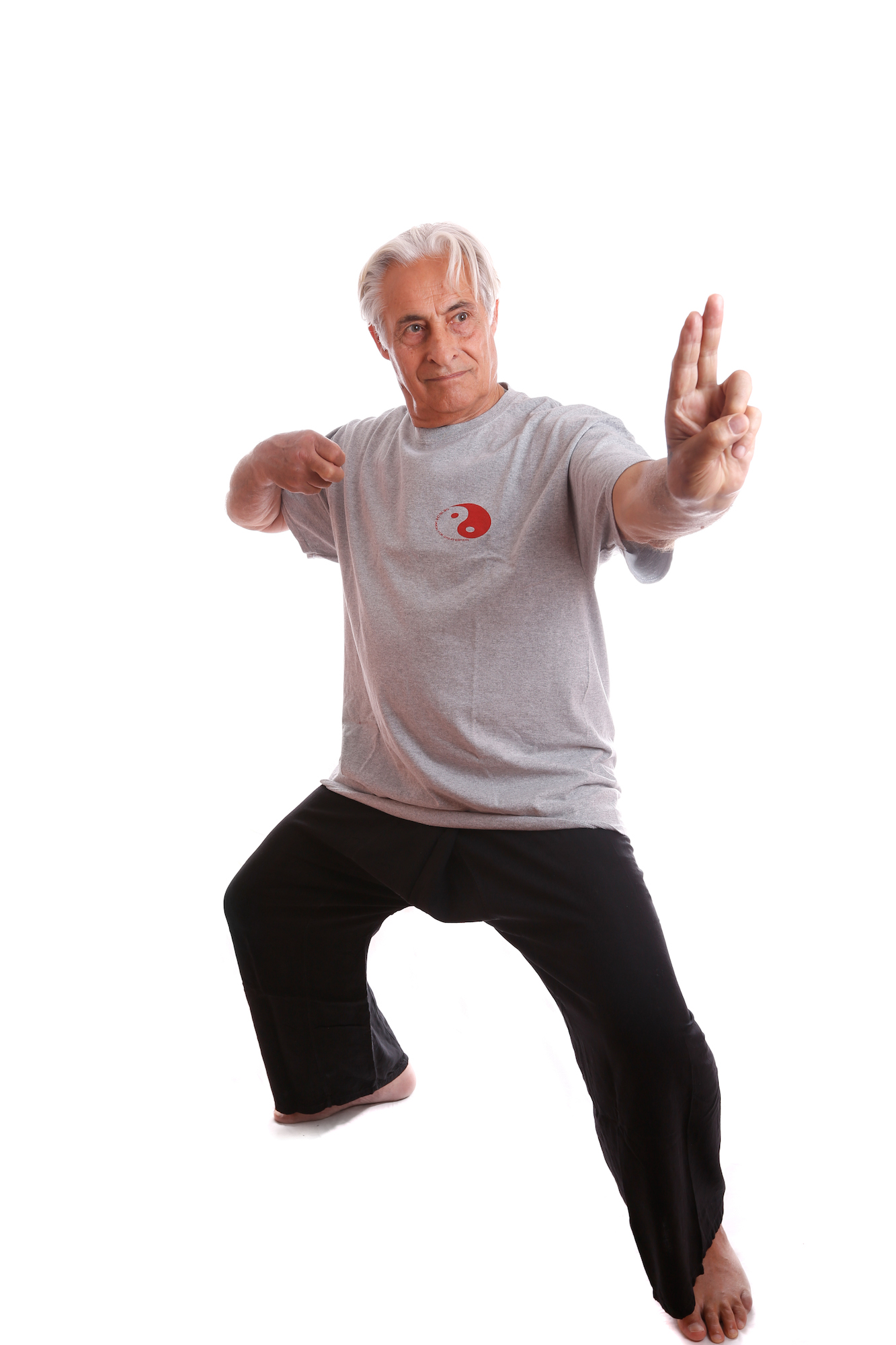 Tai Chi Progressive