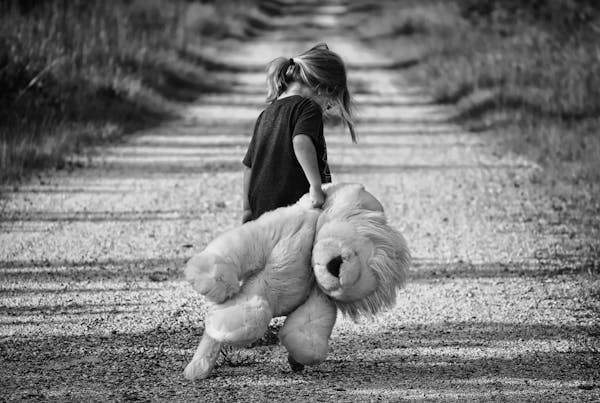 Become a Trauma Informed Practitioner