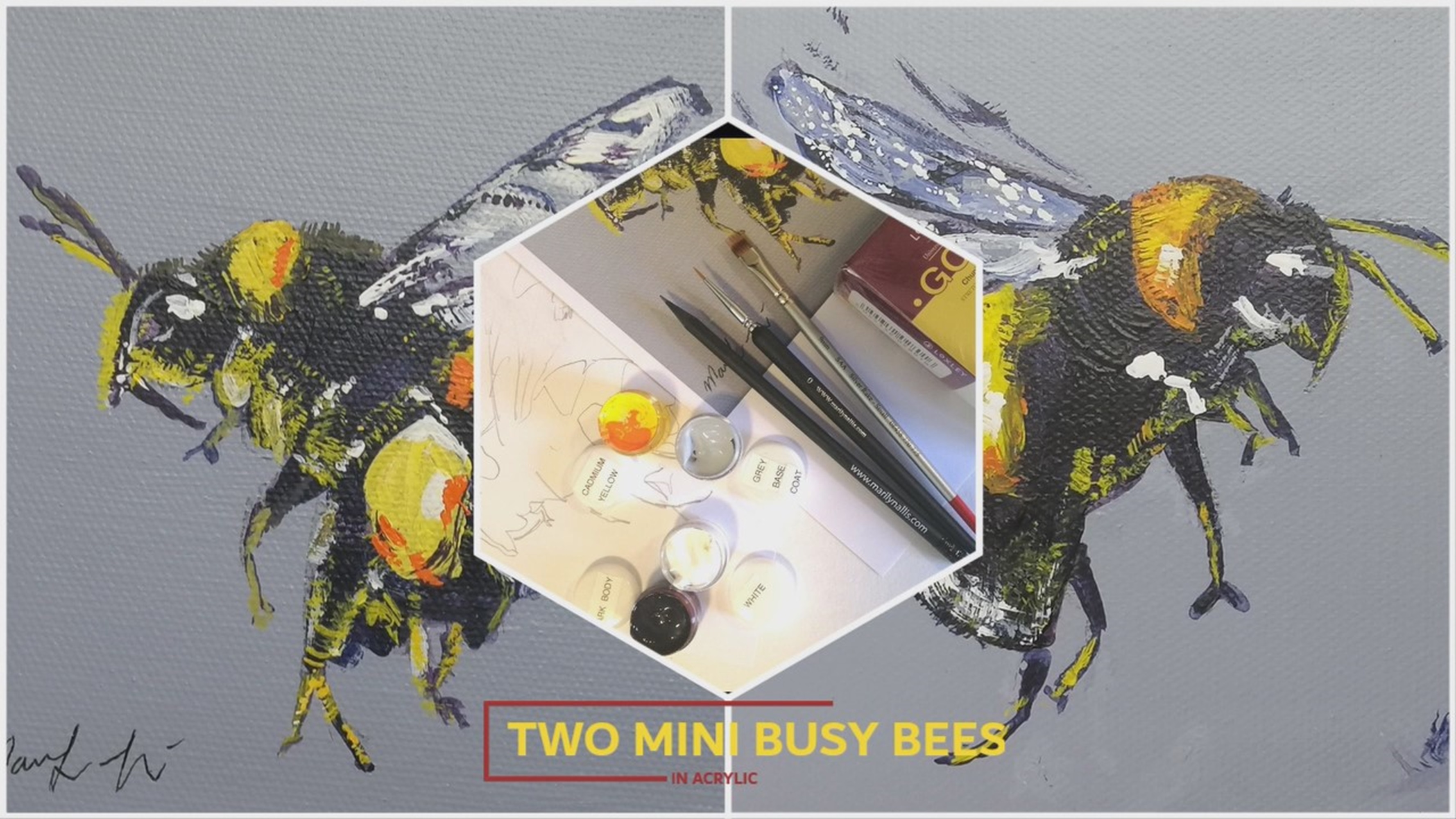 Paint Two Busy Mini Bees In Acrylic Box Materials