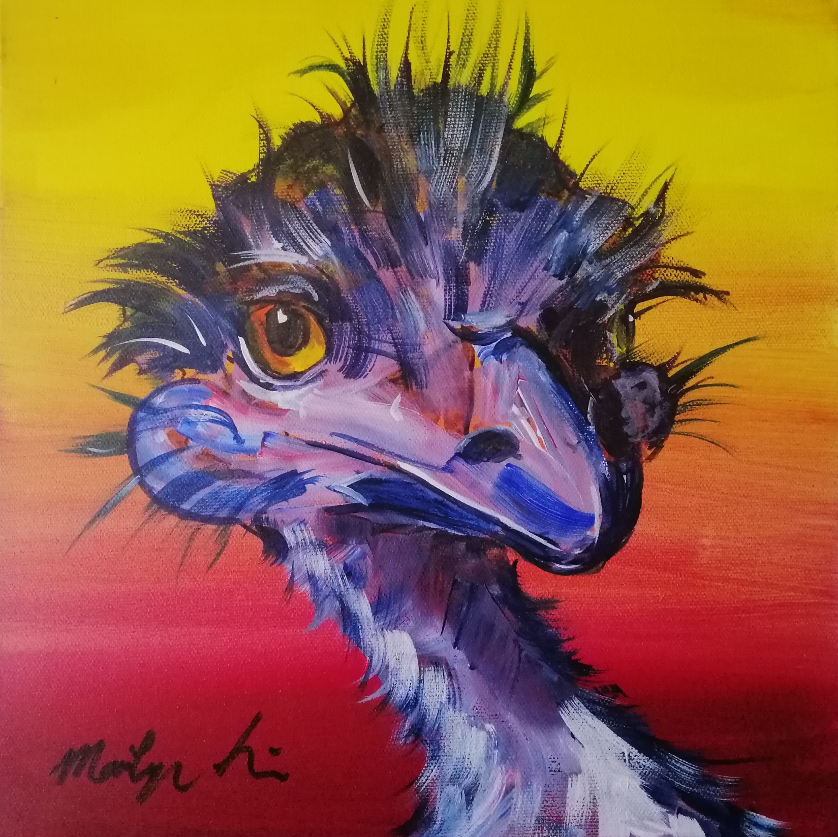 Paint an Acrylic Colourful Emu Box Materials