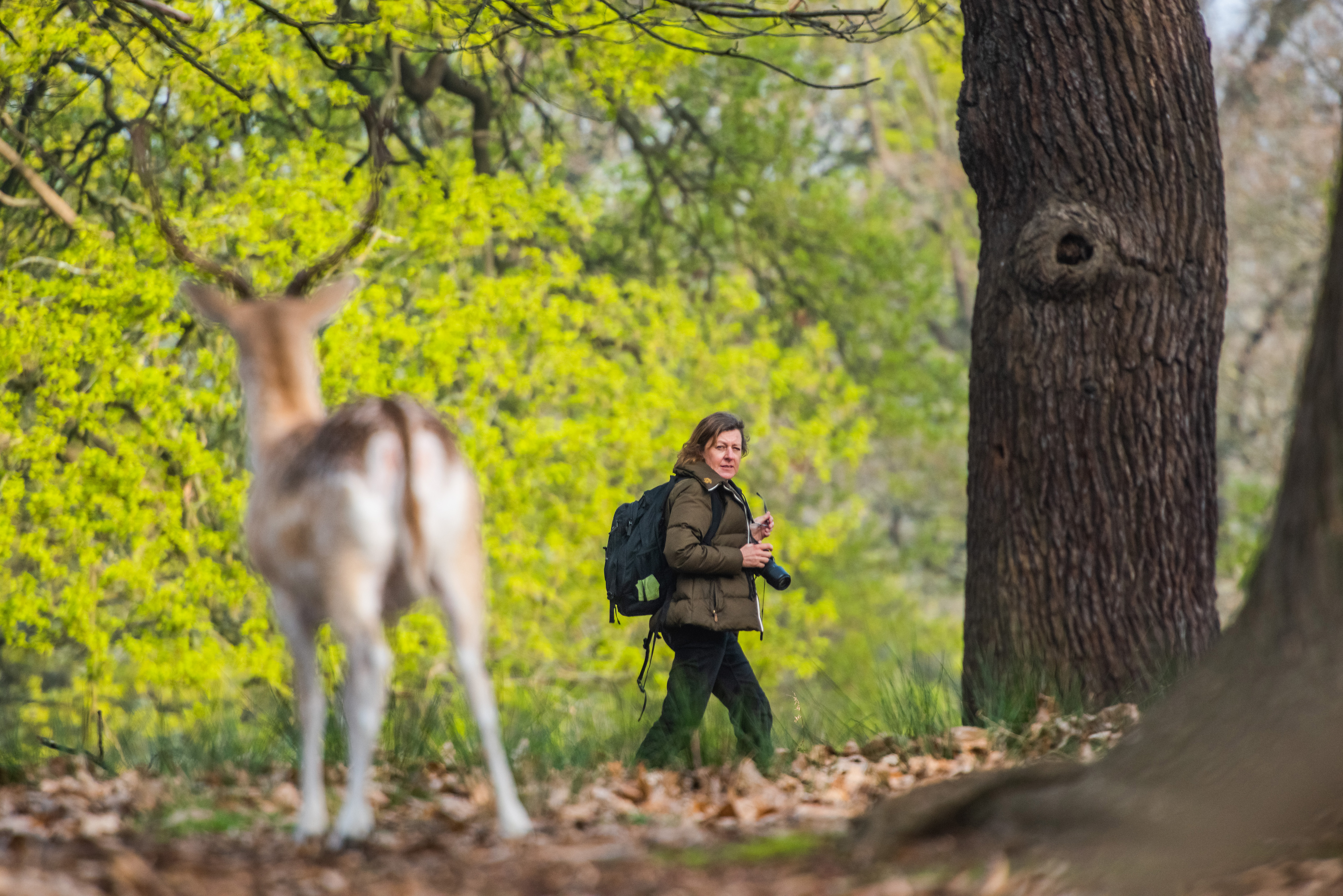 WILDLIFE PHOTOGRAPHY WORKSHOP IN RICHMOND PARK AT SUNSET