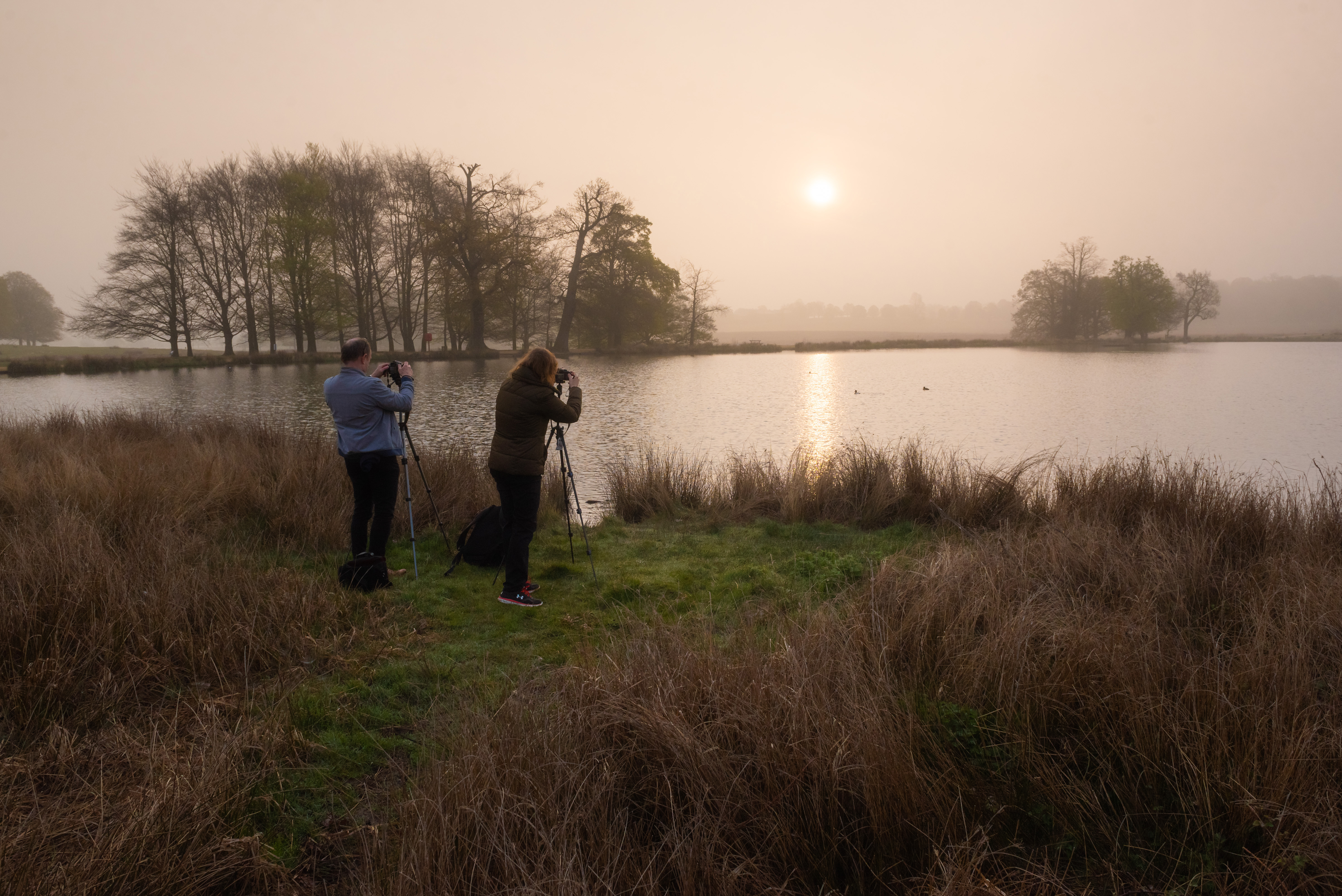 WILDLIFE PHOTOGRAPHY WORKSHOP IN RICHMOND PARK AT SUNSET