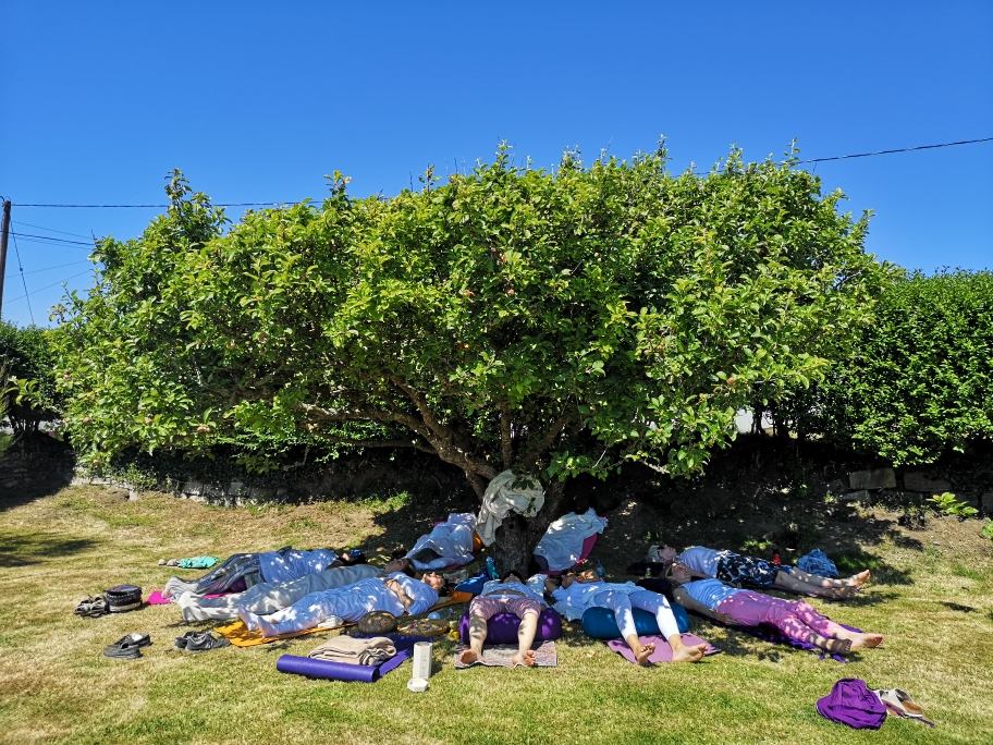 Healing Nidra Circle Evening