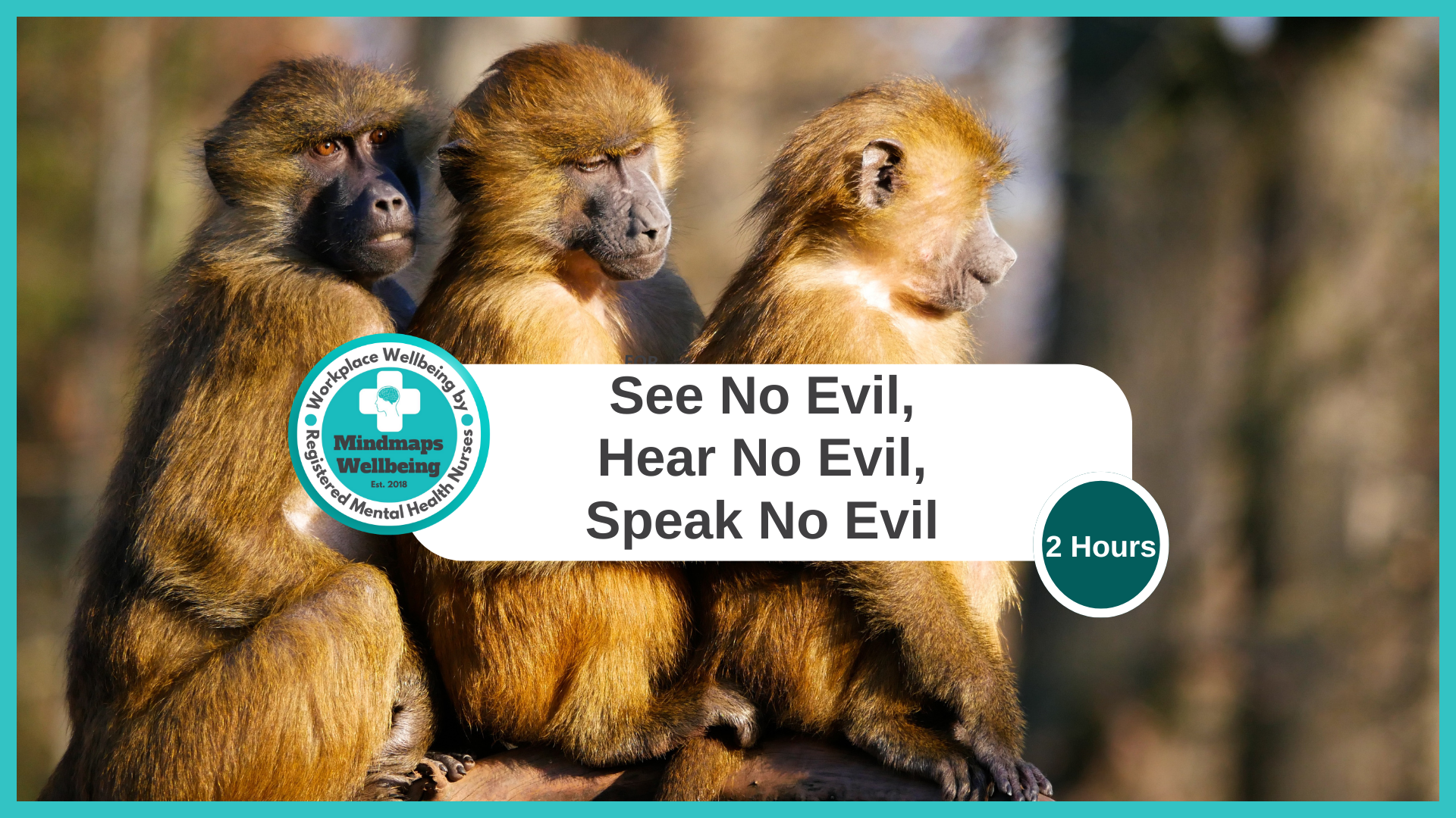 See No Evil, Hear No Evil, Speak No Evil. 
Groups for up to 20 learners per workshop.