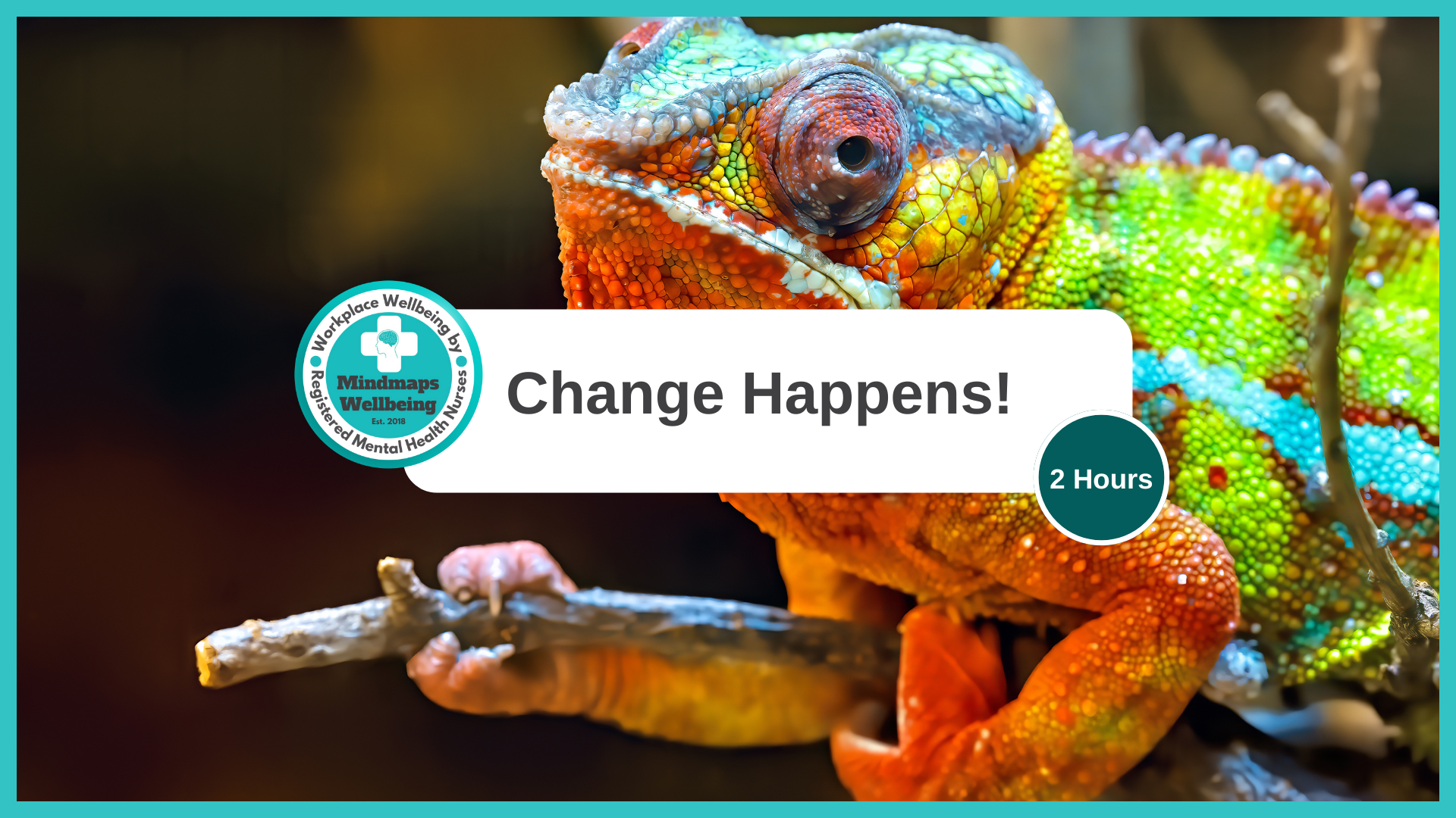 Change Happens! Reframing uncertainty in a changing world.
Groups for up to 20 learners per workshop.