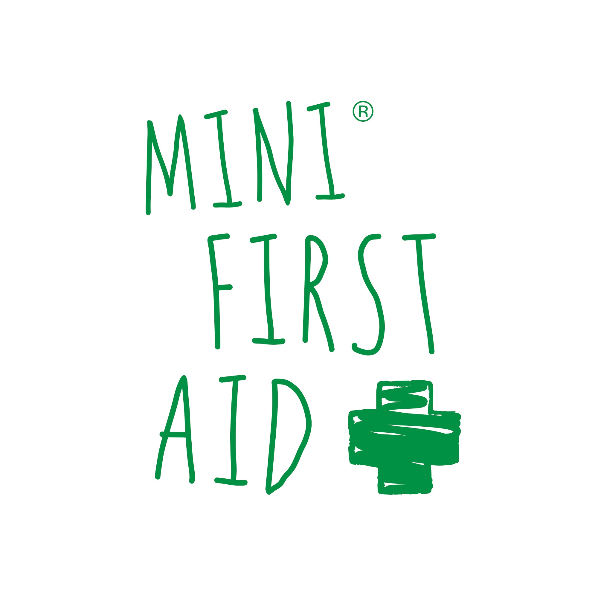 Mini First Aid Gloucestershire 