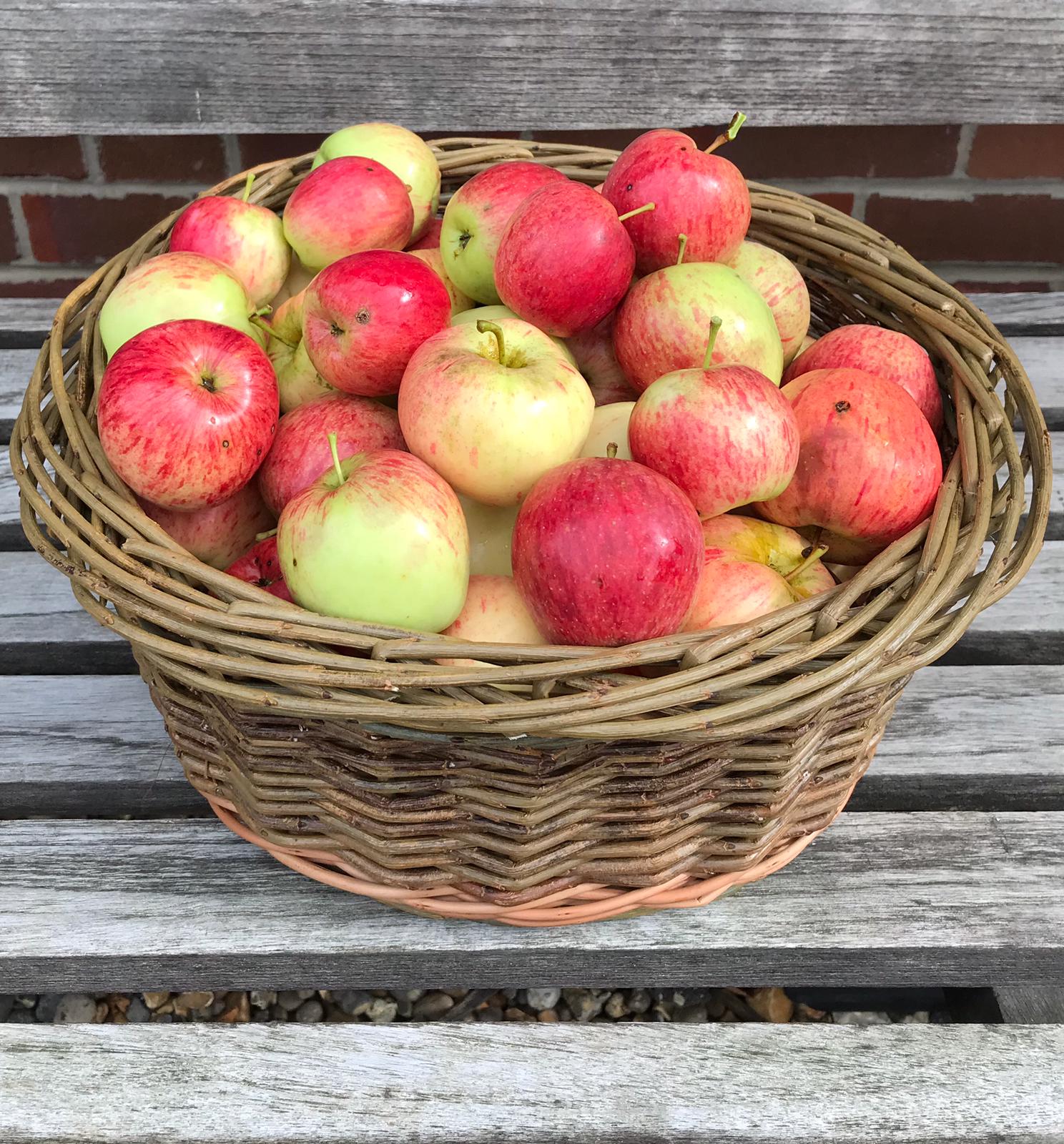 English Willow Basket Making for beginners. 