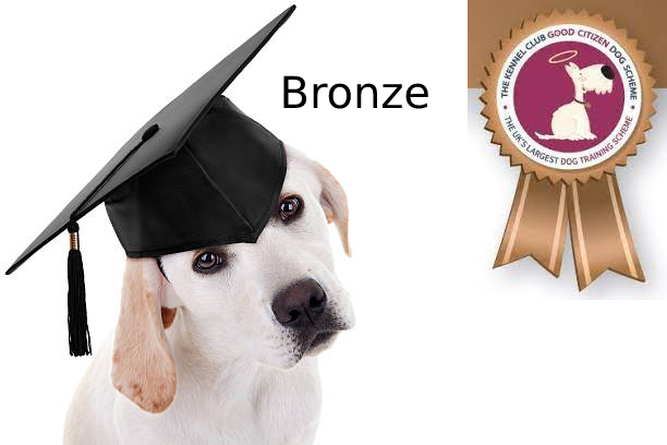 Bronze | Mainstream