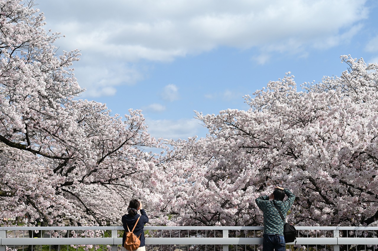 8 Japanese Philosophies for CBT - A Practical Introduction