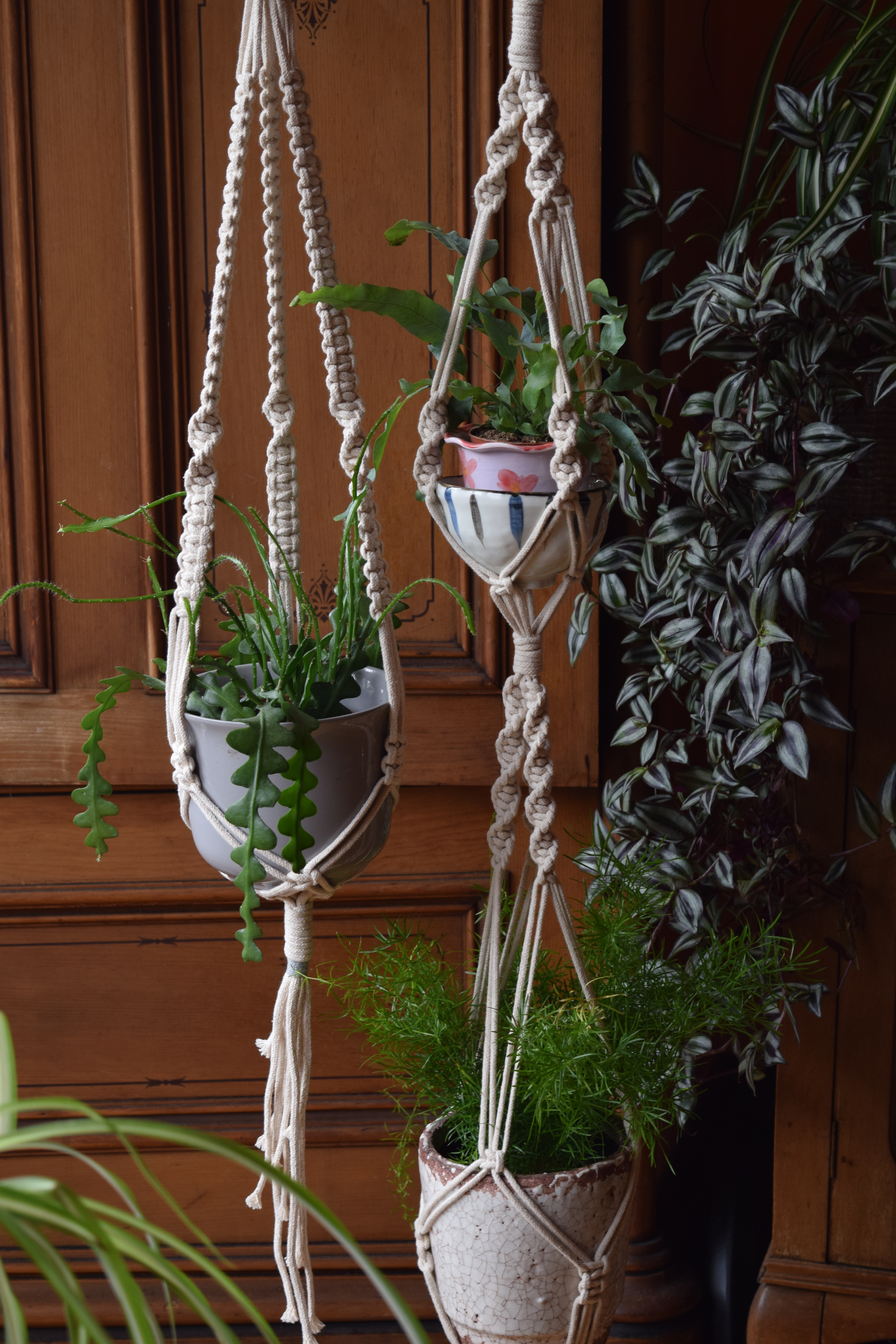 Make a macramé plant or pot hanger | private class for up to 10 people