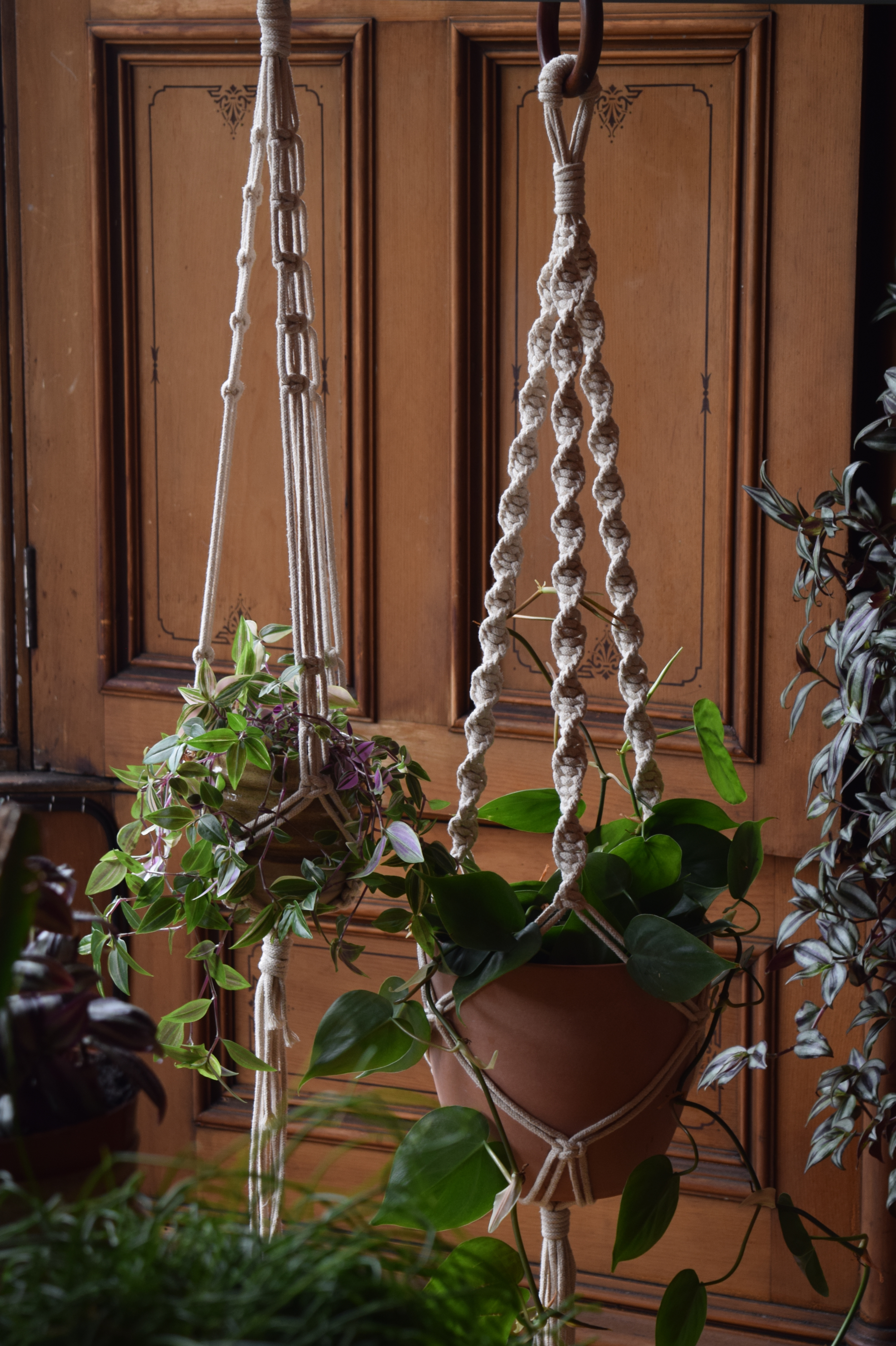 Make a macramé plant or pot hanger | private class for up to 10 people