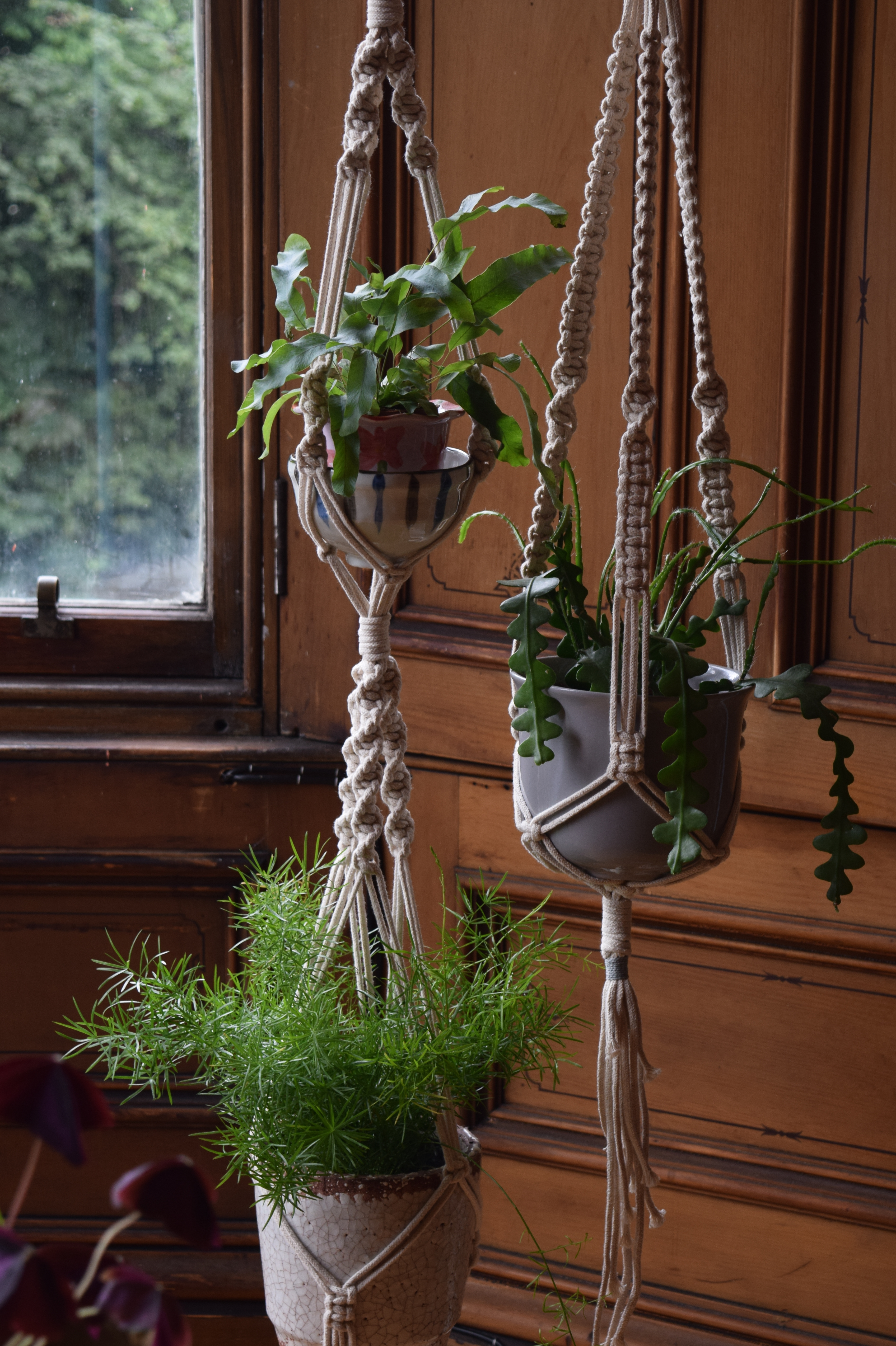 Make a macramé plant or pot hanger | private class for up to 10 people