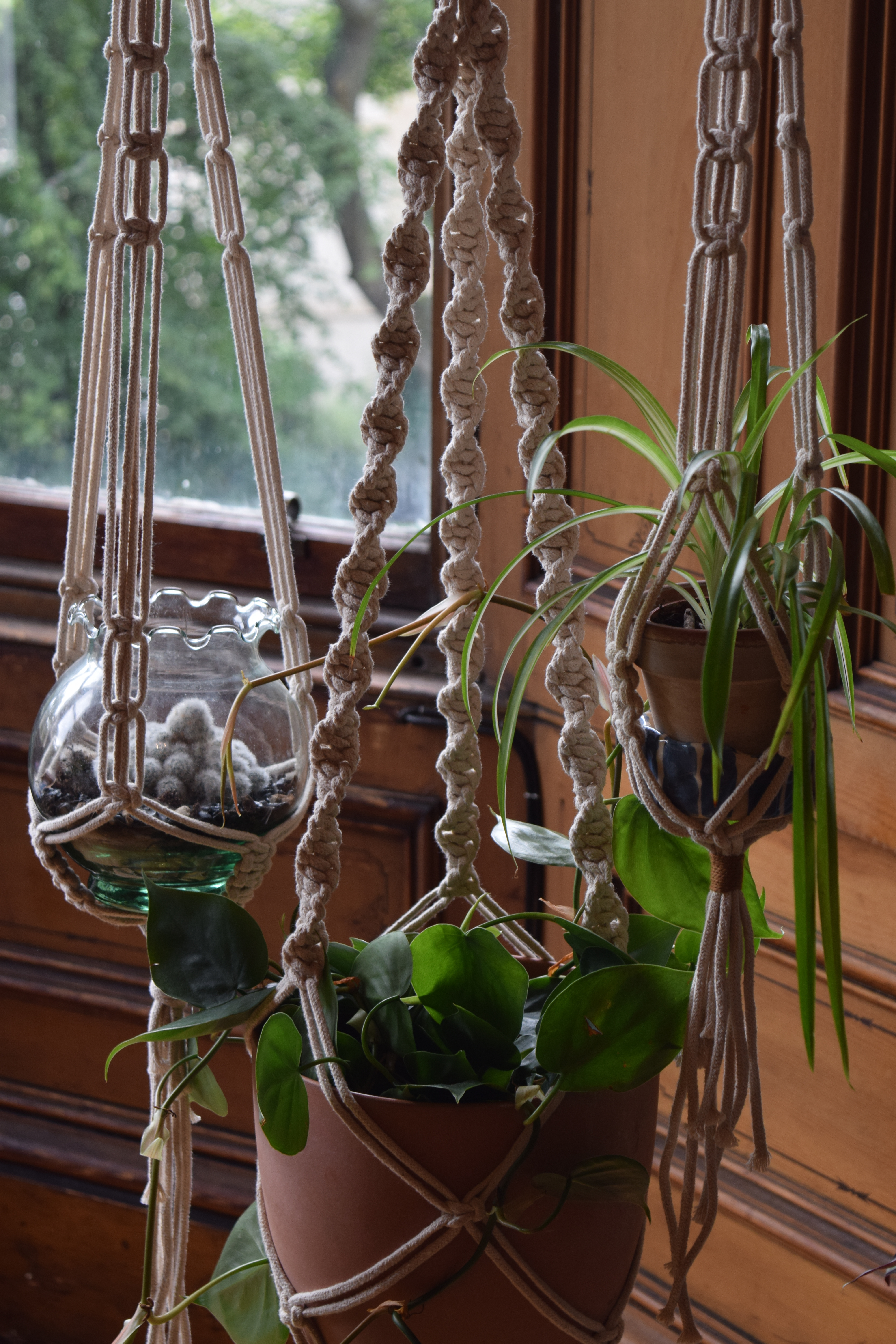 Make a macramé plant or pot hanger | private class for up to 10 people