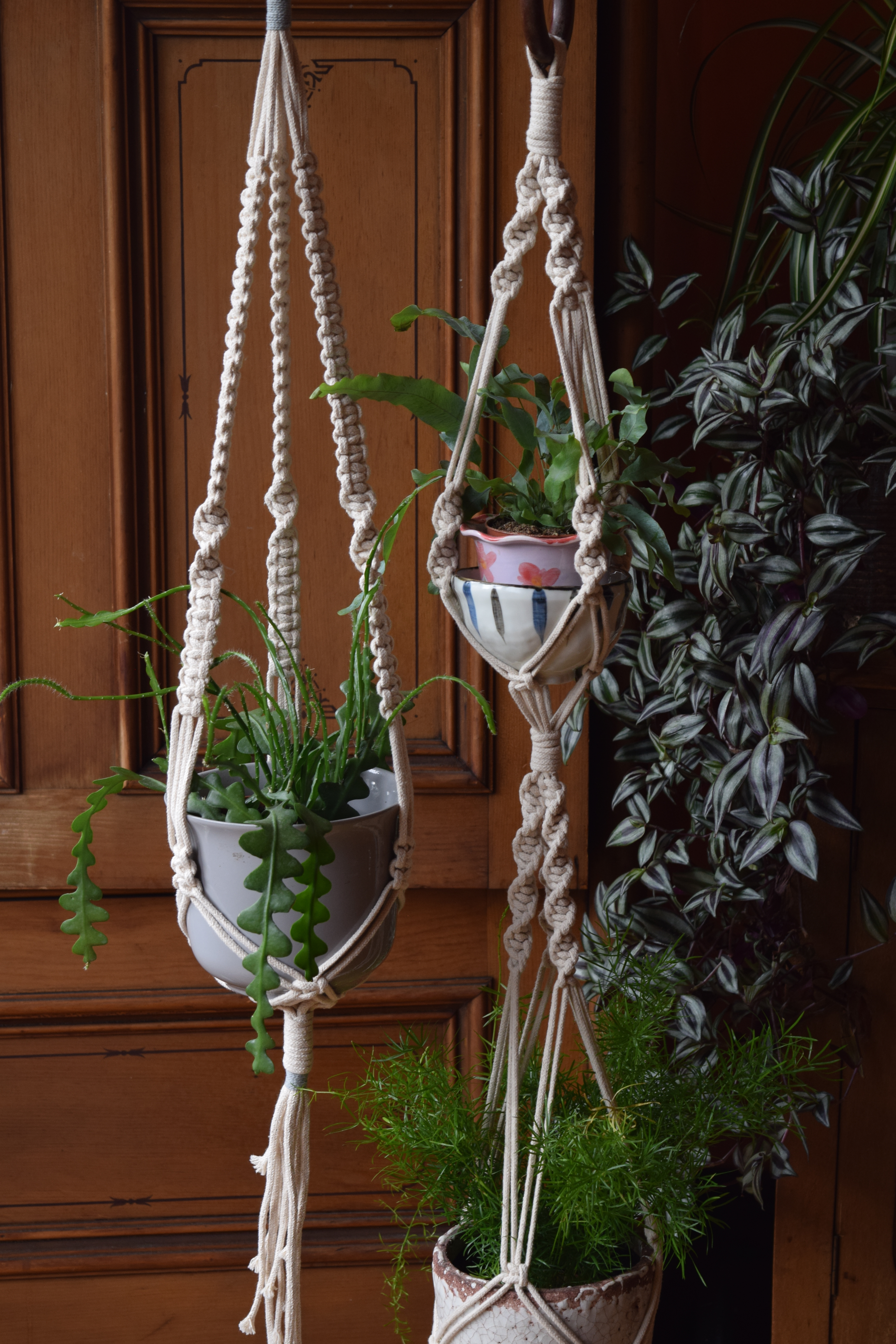 Make a macramé plant or pot hanger | private class for up to 10 people