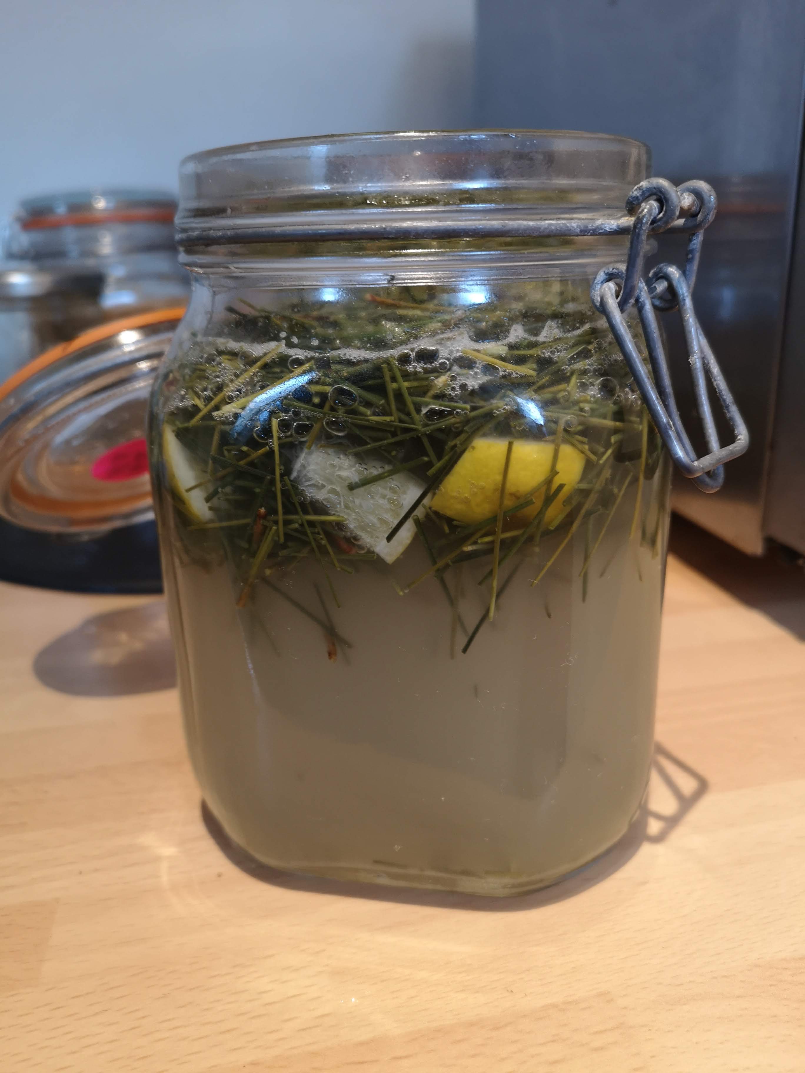 Forage & Ferment Workshop