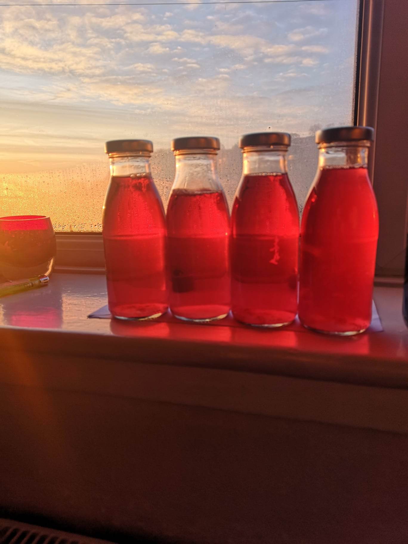 Kombucha Workshop