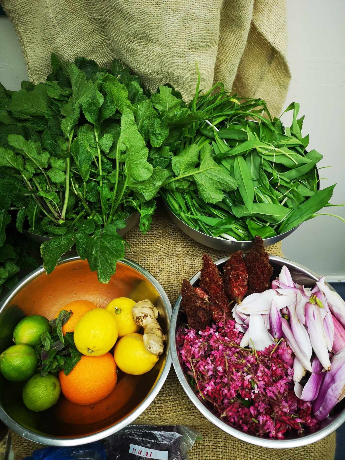 Forage & Ferment Workshop