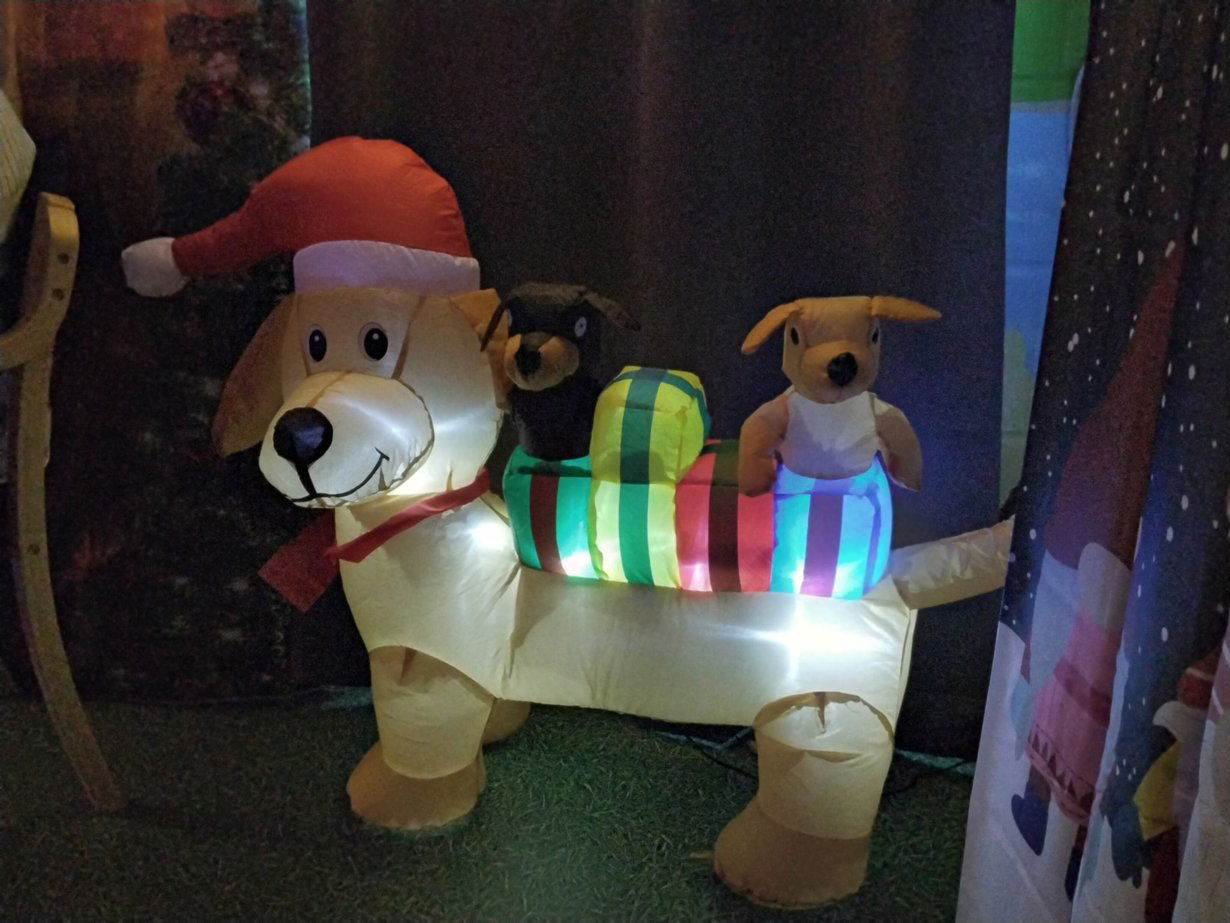 Sensory Santa - Saturday 13th December 2025 (10am - 3pm)