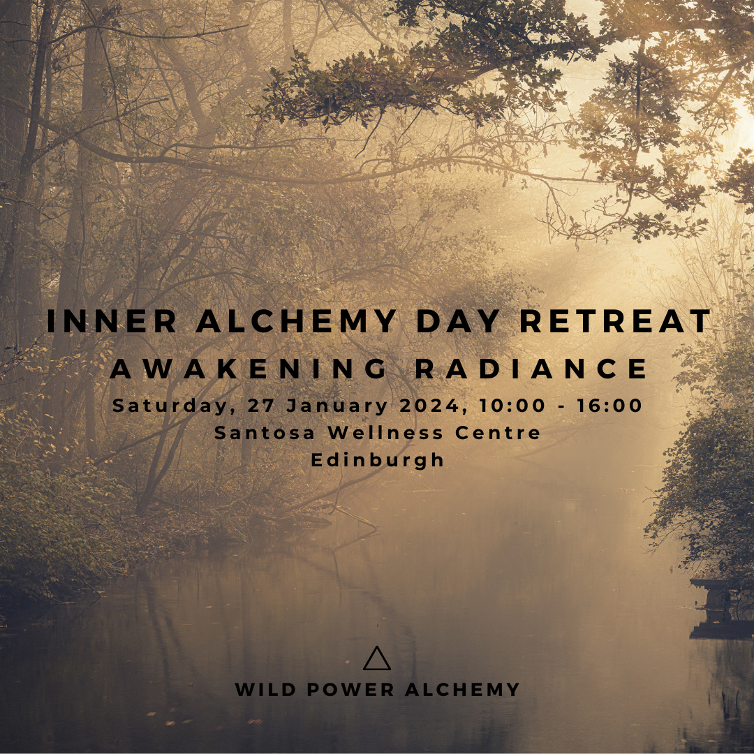 The Wild Rose is Fiercely Feminine - Day Retreat
