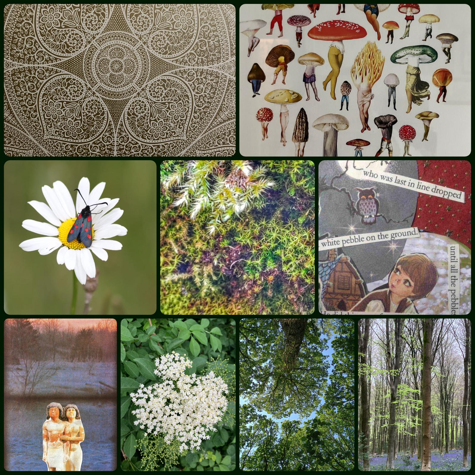 A taste of  your intuitive creativity  