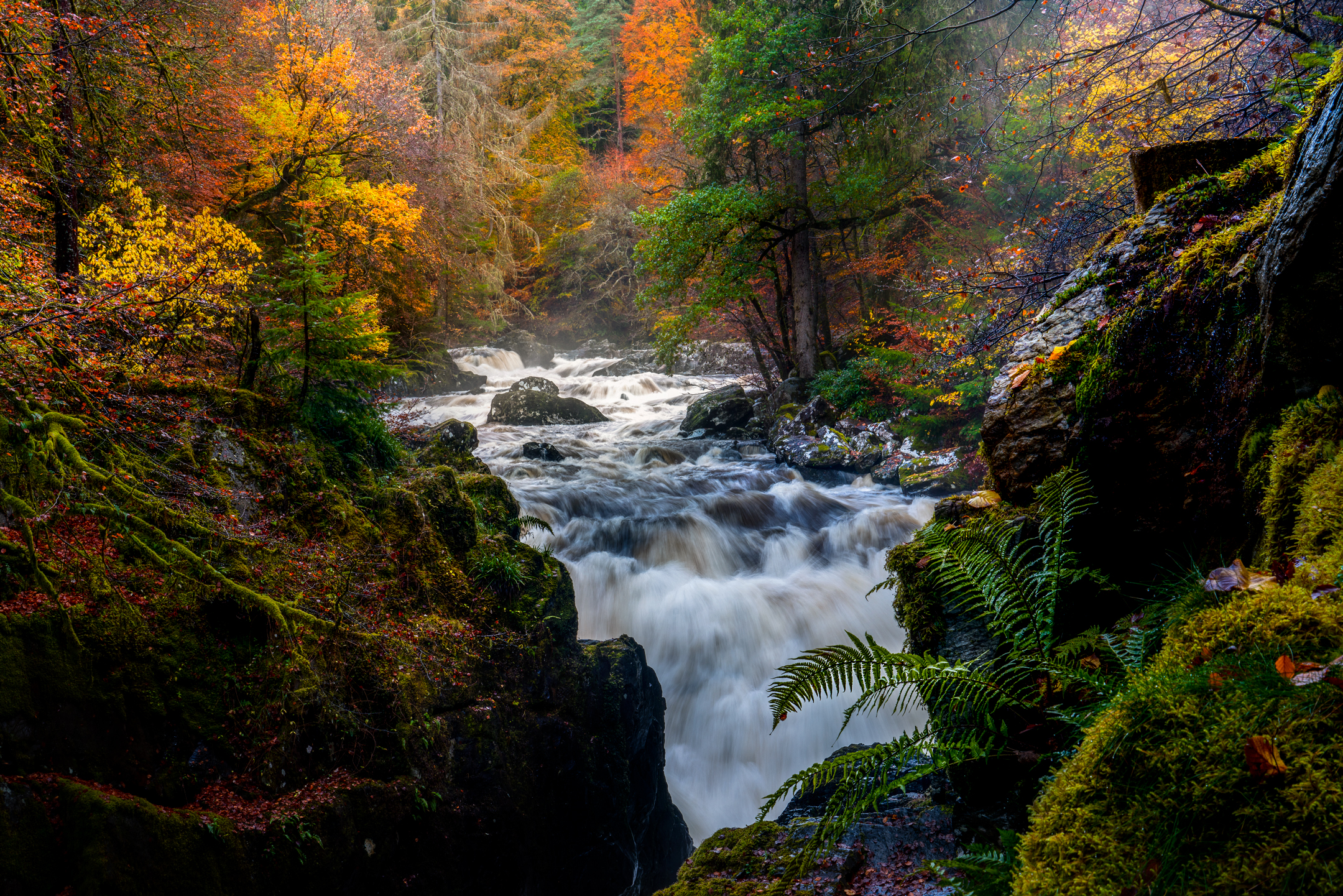 Perthshire & Stirlingshire Photography Workshop & Tour