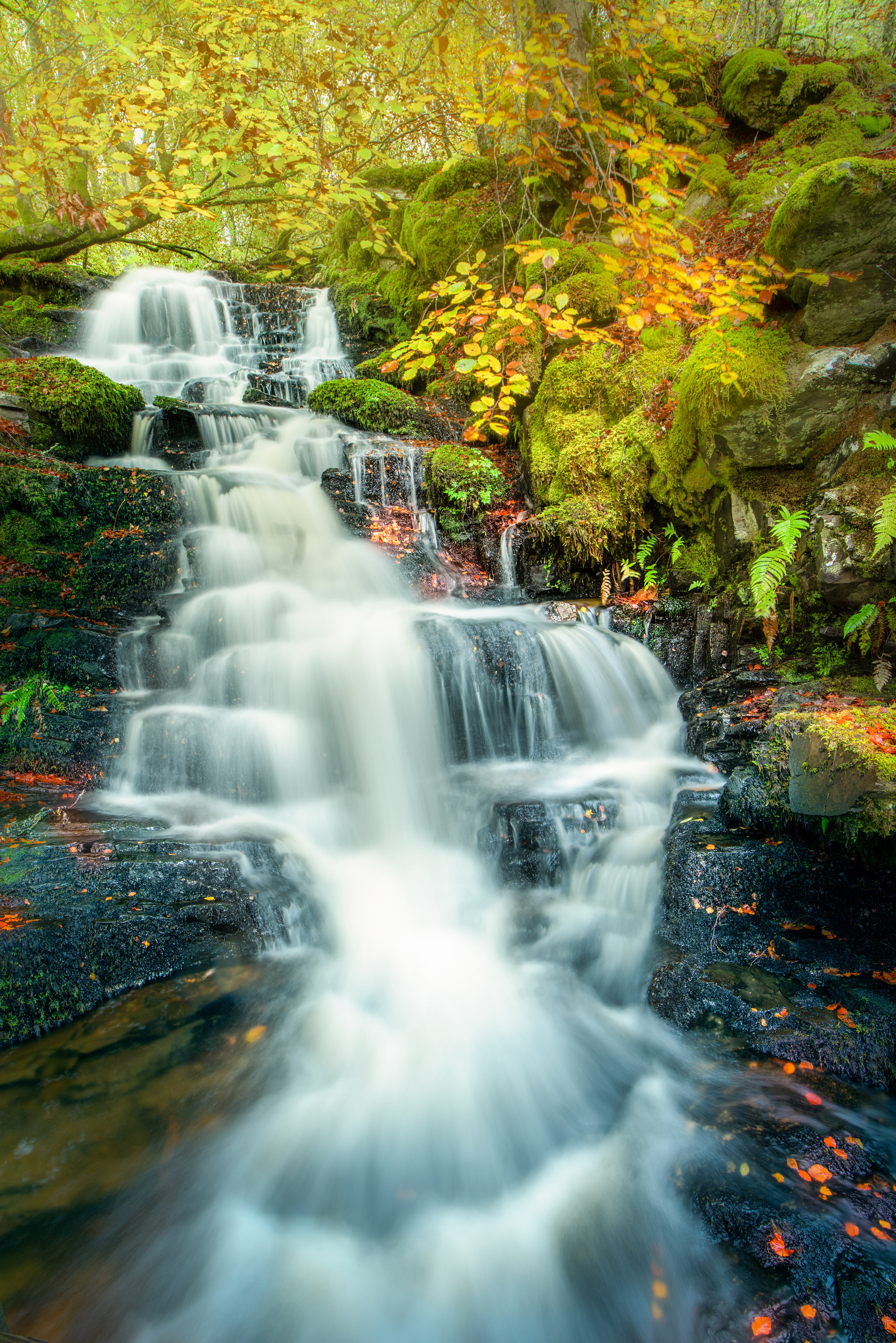 Perthshire & Stirlingshire Photography Workshop & Tour