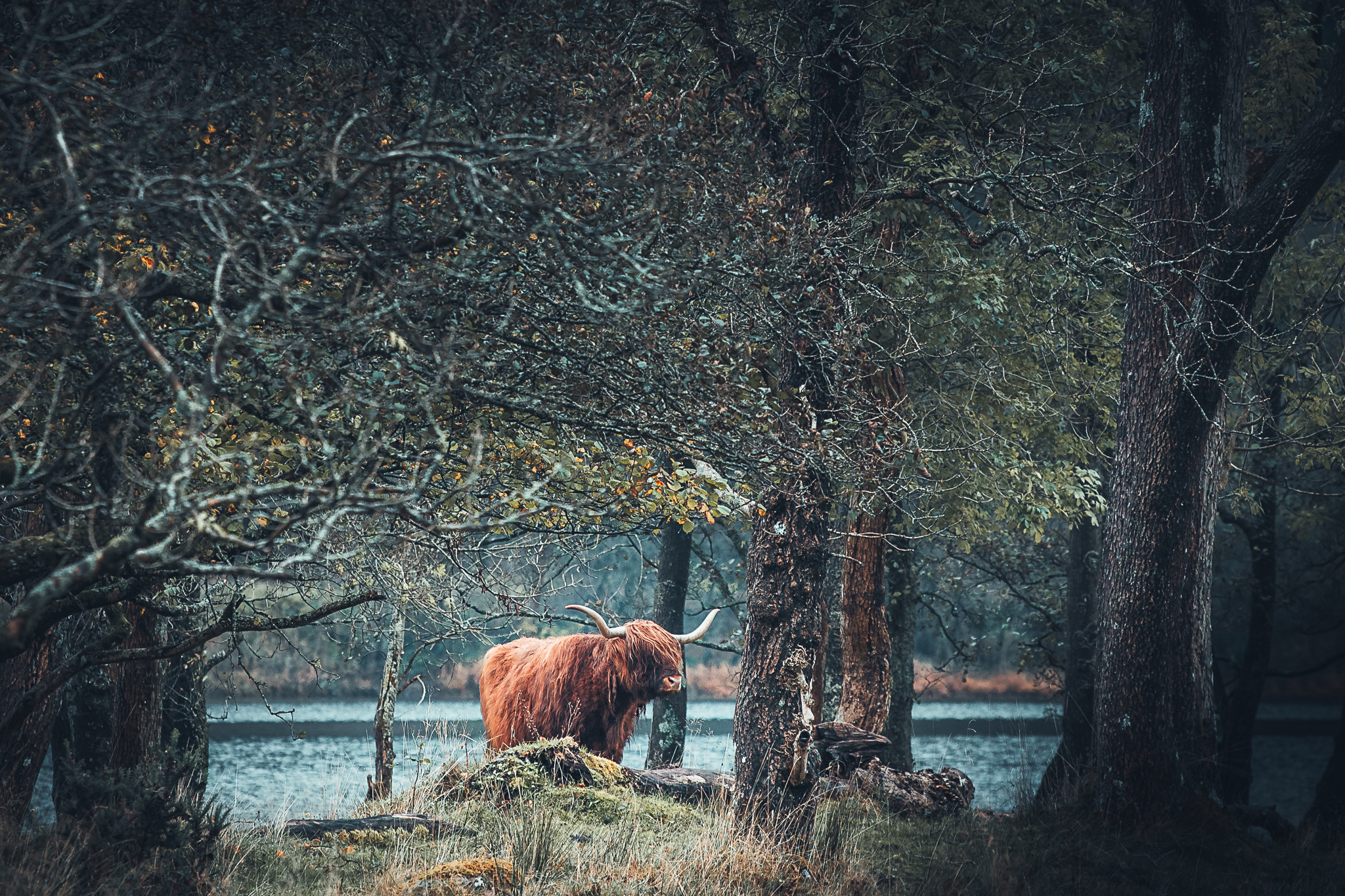 Perthshire & Stirlingshire Photography Workshop & Tour