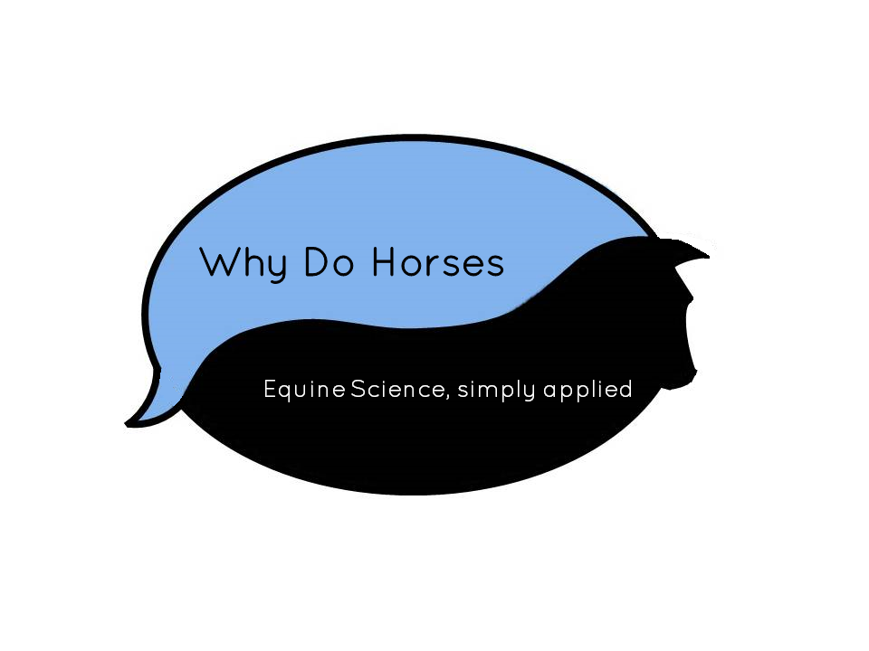 Why Do Horses logo