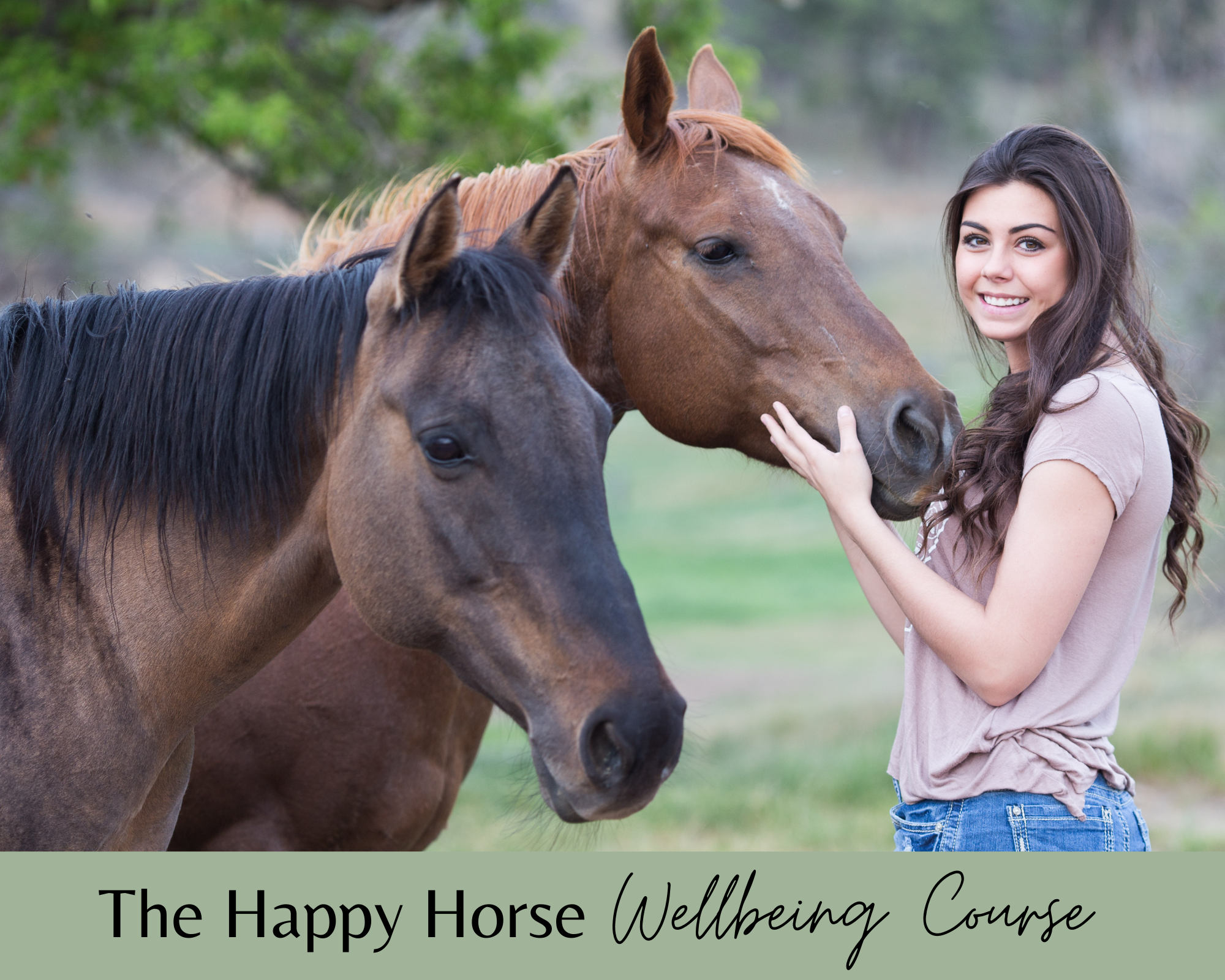 The Happy Horse Wellbeing Course