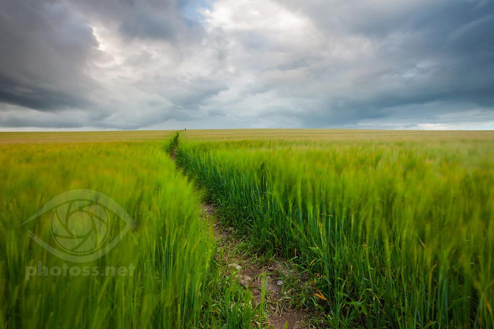 Landscape Photography Workshop on the South Downs near Brighton, East Sussex